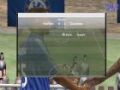 Verde la fifa .