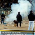 Cupa Buftea
