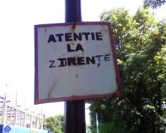 Who is the champion?