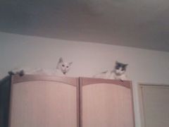 JonnyWst`Campionat De FIFA 2007