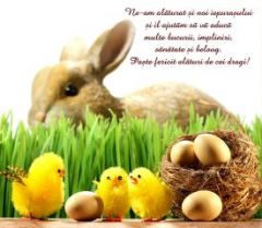 Cei mai talentati !!! Ed. 14