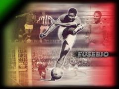 Campionat de fifangiii