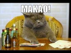 Mai putine carti, mai multe sanse