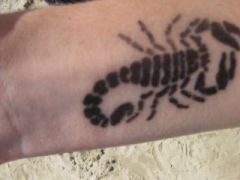 Bomberman, fiecare pentru el