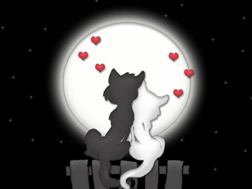Se apropie Valentine's Day Se apropie Valentine's Day
