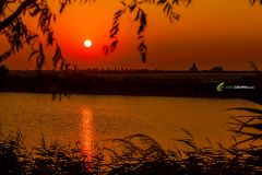 FIFA 2007 -:::::::;;;::