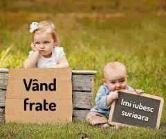 Ai tac , nu ai , dai in bila ! 