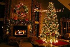 Cupa speciala de Craciun de fifa 08!