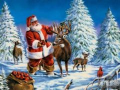 Craciun Fericit Competitii.ro ! 